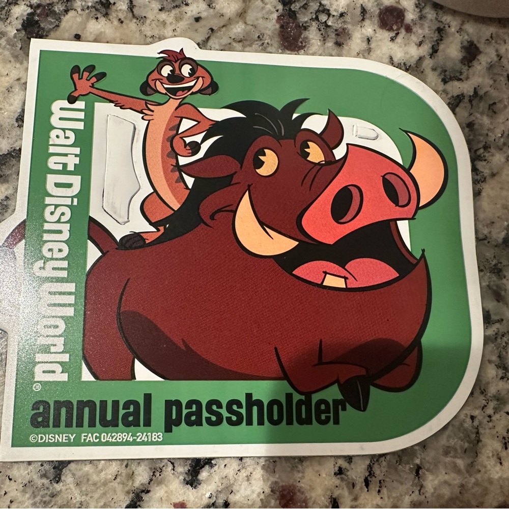 Disney World Annual Passholder magnet with Timon and Pumbaa.